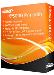 SEO Package - Rs.5000/M